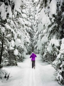 Langlaufen im Hintertal